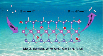 Graphical abstract: Defect engineering in the MA2Z4 monolayer family for enhancing the hydrogen evolution reaction: first-principles calculations