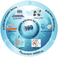Graphical abstract: Recent advances of organic polymers for zinc-ion batteries