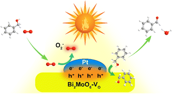 Graphical abstract: Interfacial synergy of Pt cocatalyst and oxygen defective Bi2MoO6 for boosting the photocatalytic redox reaction