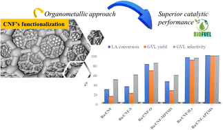 Graphical abstract: Selective hydrodeoxygenation of levulinic acid to γ-valerolactone over Ru supported on functionalized carbon nanofibers