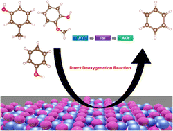 Graphical abstract: Direct deoxygenation reaction of oxygenated model compounds by biomass pyrolysis on the Ni5P4(001) surface: a computational study
