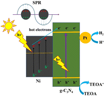 Graphical abstract: Metallic plasmons significantly boosted visible-light photocatalytic hydrogen evolution from water splitting