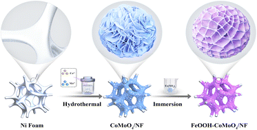 Graphical abstract: Construction of FeOOH modified CoMxOy (M = Mo, W, V) on nickel foam for highly efficient oxygen evolution reaction