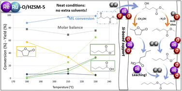 Graphical abstract: Supported rhenium catalysts for the hydrogenation of levulinic acid derivatives: limits and potential