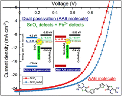 Graphical abstract: Design and synthesis of multifaceted dicyanomethylene rhodanine linked thiophene: a SnOx–perovskite dual interface modifier facilitating enhanced device performance through improved Fermi level alignment, defect passivation and reduced energy loss