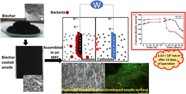 Graphical abstract: Multi-functionalization of woody biochar tuned for sustainable surface microbiological processes: a case study for energy applications