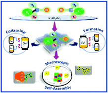 Graphical abstract: Chiral gelators for visual enantiomeric recognition