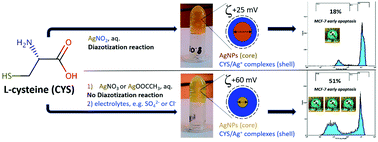 Graphical abstract: l-Cysteine as a reducing/capping/gel-forming agent for the preparation of silver nanoparticle composites with anticancer properties