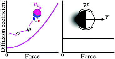 Graphical abstract: Enhanced diffusivity in microscopically reversible active matter