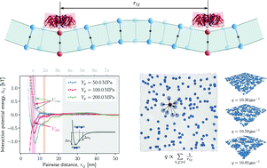 Graphical abstract: Investigating the entropic nature of membrane-mediated interactions driving the aggregation of peripheral proteins