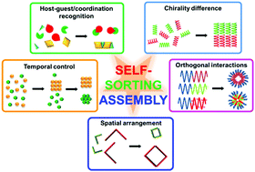 Graphical abstract: Self-sorting assembly of artificial building blocks