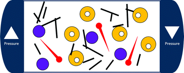 Graphical abstract: Reshaping sub-millimetre bubbles from spheres to tori