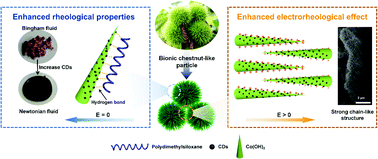 Graphical abstract: Efficient and stable electrorheological fluids based on chestnut-like cobalt hydroxide coupled with surface-functionalized carbon dots