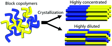 Graphical abstract: Dynamic Monte Carlo simulations of strain-induced crystallization in multiblock copolymers: effects of dilution