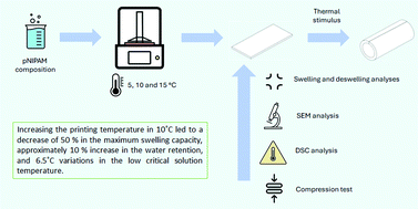 Graphical abstract: The effect of the printing temperature on 4D DLP printed pNIPAM hydrogels