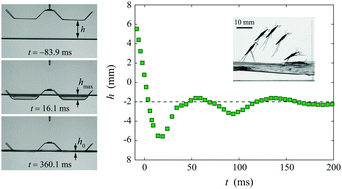 Graphical abstract: Experimental and theoretical studies on the dynamic landing of water striders on water