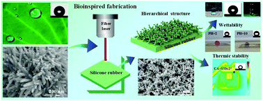 Graphical abstract: One-step laser etching of a bionic hierarchical structure on a silicone rubber surface with thermal and acid/alkali resistance and tunable wettability