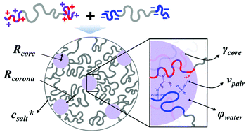 Graphical abstract: Ionic group-dependent structure of complex coacervate hydrogels formed by ABA triblock copolymers