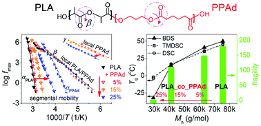 Graphical abstract: Direct and indirect effects on molecular mobility in renewable polylactide–poly(propylene adipate) block copolymers as studied via dielectric spectroscopy and calorimetry