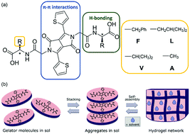 Graphical abstract: Synthesis and characterisation of diketopyrrolopyrrole-based hydrogels