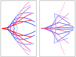 Graphical abstract: Enhanced clamshell swimming with asymmetric beating at low Reynolds number