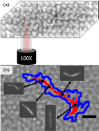 Graphical abstract: Single-walled carbon nanotube reptation dynamics in submicron sized pores from randomly packed mono-sized colloids