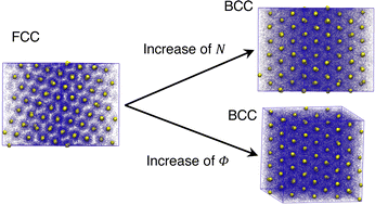 Graphical abstract: Impact of free energy of polymers on polymorphism of polymer-grafted nanoparticles