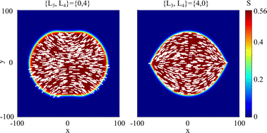 Graphical abstract: Equilibrium morphology of tactoids in elastically anisotropic nematics