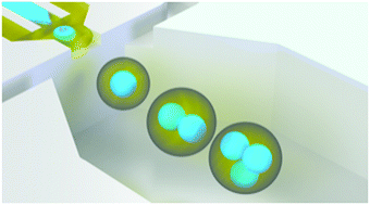 Graphical abstract: A double-step emulsification device for direct generation of double emulsions
