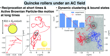 Graphical abstract: Active colloid with externally induced periodic bipolar motility and its cooperative motion