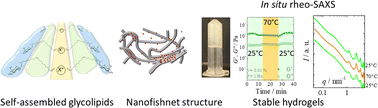 Graphical abstract: Shear recovery and temperature stability of Ca2+ and Ag+ glycolipid fibrillar metallogels with unusual β-sheet-like domains