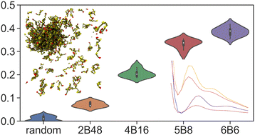 Graphical abstract: Model biomolecular condensates have heterogeneous structure quantitatively dependent on the interaction profile of their constituent macromolecules