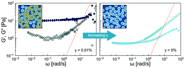 Graphical abstract: Bijel rheology reveals a 2D colloidal glass wrapped in 3D