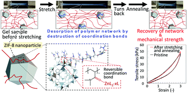 Graphical abstract: Tough ion gels composed of coordinatively crosslinked polymer networks using ZIF-8 nanoparticles as multifunctional crosslinkers