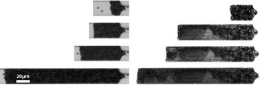 Graphical abstract: Structure and flow conditions through a colloidal packed bed formed under flow and confinement