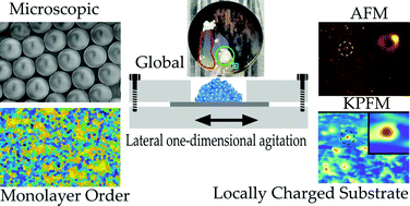 Graphical abstract: Self-organization of agitated microspheres on various substrates