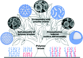 Graphical abstract: Polymer brush-based nanostructures: from surface self-assembly to surface co-assembly