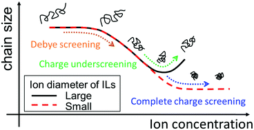 Graphical abstract: Rheological scaling of ionic-liquid-based polyelectrolytes in ionic liquid solutions: the effect of the ion diameter of ionic liquids