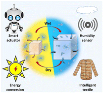 Graphical abstract: Development and challenges of smart actuators based on water-responsive materials