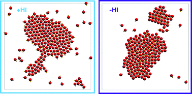 Graphical abstract: Clustering of self-thermophilic asymmetric dimers: the relevance of hydrodynamics