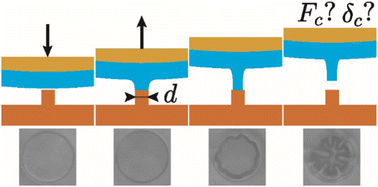 Graphical abstract: Debonding of a soft adhesive fibril in contact with an elastomeric pillar