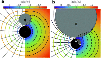 Graphical abstract: Breaking action–reaction with active apolar colloids: emergent transport and velocity inversion