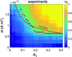 Graphical abstract: Elastically-mediated collective organisation of magnetic microparticles