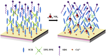 Graphical abstract: A highly sensitive fluorescent sensor for ammonia detection based on aggregation-induced emission luminogen-doped liquid crystals