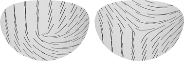 Graphical abstract: Coupling the topological defect phase to the extrinsic curvature in nematic shells