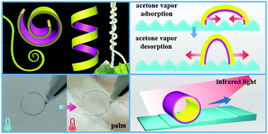 Graphical abstract: Multi-stimuli-responsive actuator based on bilayered thermoplastic film