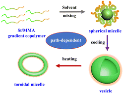 Graphical abstract: Unexpected toroidal micelles formed from St/MMA gradient copolymers