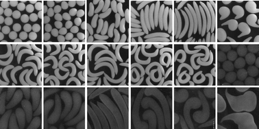 Graphical abstract: Producing shape-engineered alginate particles using viscoplastic fluids