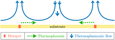 Graphical abstract: A hydro-thermophoretic trap for microparticles near a gold-coated substrate