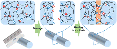 Graphical abstract: Vapor-phase synthesis of a reagent-free self-healing polymer film with rapid recovery of toughness at room temperature and under ambient conditions